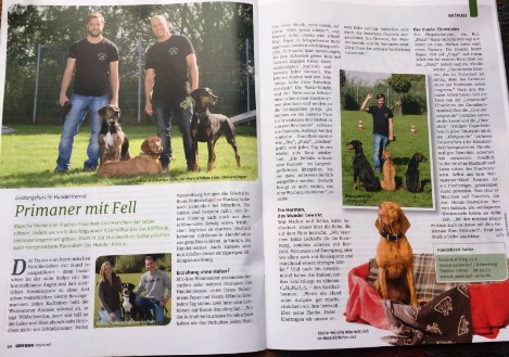 Artikel über die Hundeschule Satke im City Dog 2016