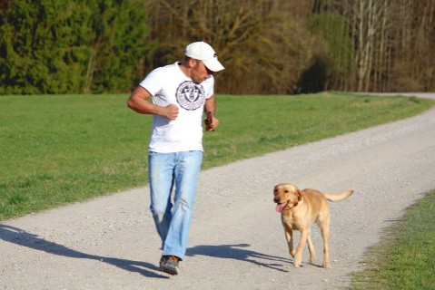 Hundeschule und Hundeinternat Satke München Stationäre Hundeausbildung ohne Besitzer in der Hundeschule Satke