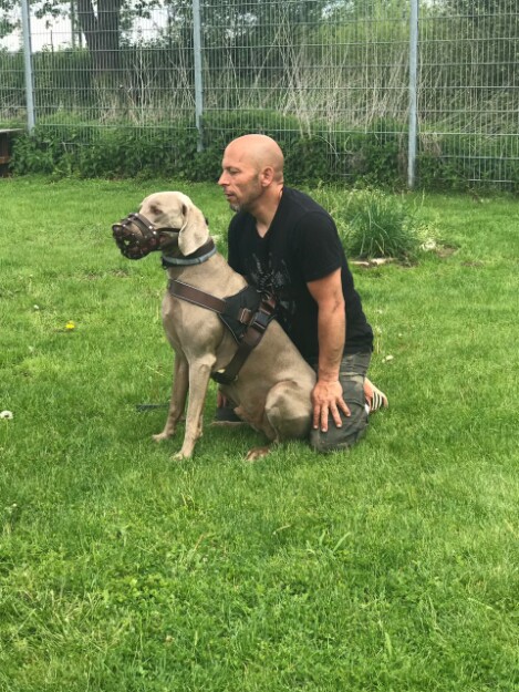 Hundeschule München - Problemhunde Angsthunde und Raufer - daruf hat sich Markus Satke spezialisiert