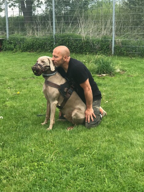 Hundeschule München - Angsthunde, Raufer Die Hundeschule nahe München für Problemhunde