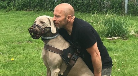 Hundeschule München - Problemhunde Hundeschule Satke bei München - Angsthunde