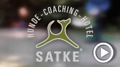 Videos der Hundeschule Satke bei München Videos mit Markus Satke